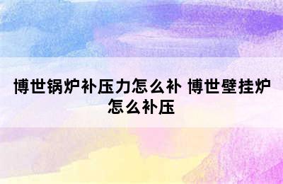 博世锅炉补压力怎么补 博世壁挂炉怎么补压